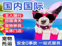 通辽机场货运国际宠物托运 【国